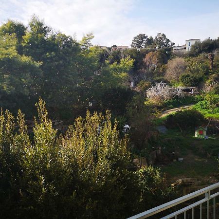 Appartement Rue Colonella Proche Citadelle Μπαστιά Εξωτερικό φωτογραφία